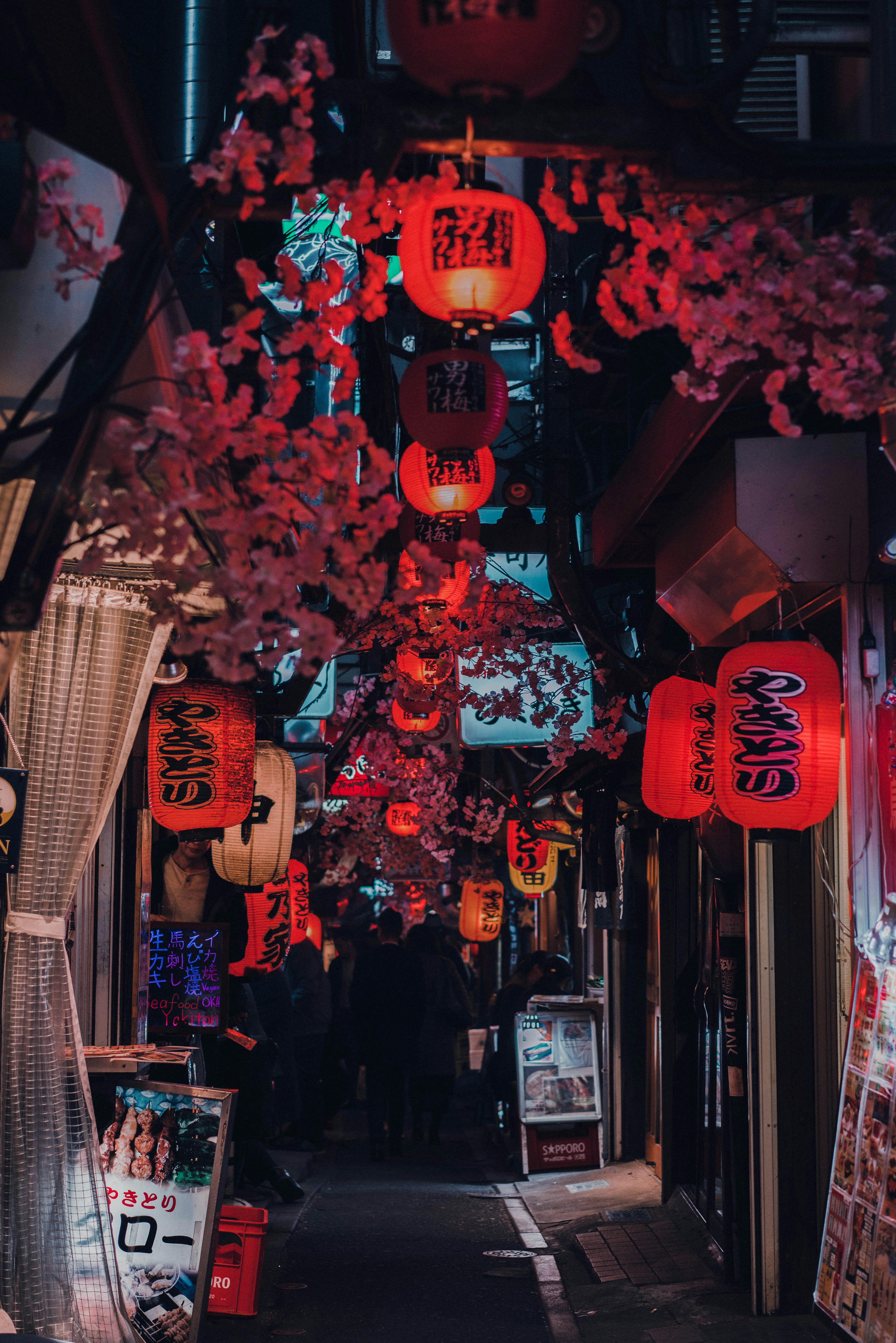 Croisière Japon